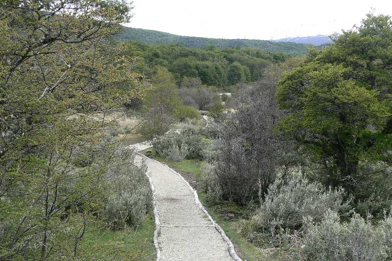 06 Parco Nazionale della Tiera del Fuego